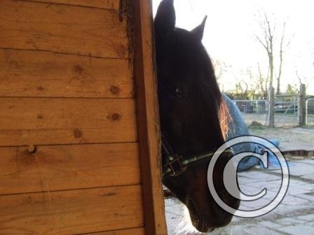 v Peek a boo! End Mar09