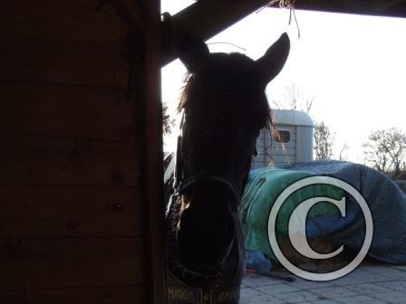 w Done my hay yet! End Mar09