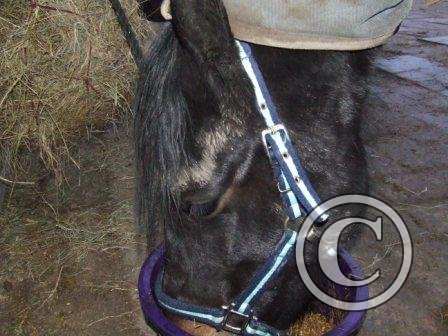 x Breakfast! Mid Mar09