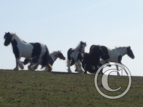 Left right and centre