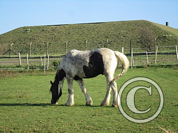 Lancelot Mud Monster (2)