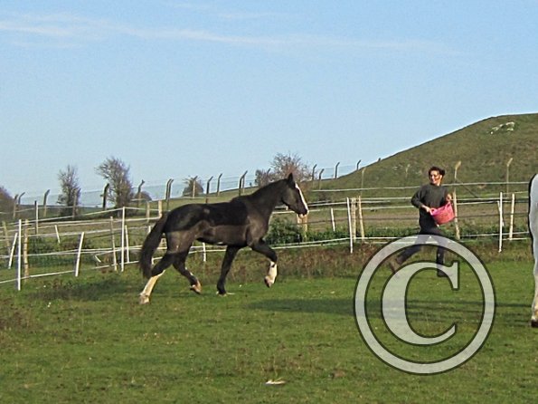 Little Miss Jessie (3)