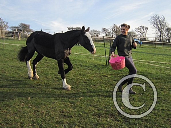 Little Miss Jessie (4)