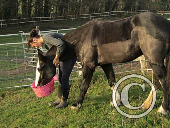 Little Miss Jessie (9)