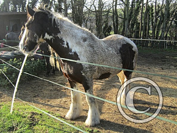 Lucy Locket Mud Monster (2)