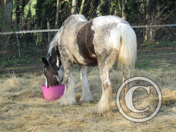 Lucy Locket Mud Monster (3)