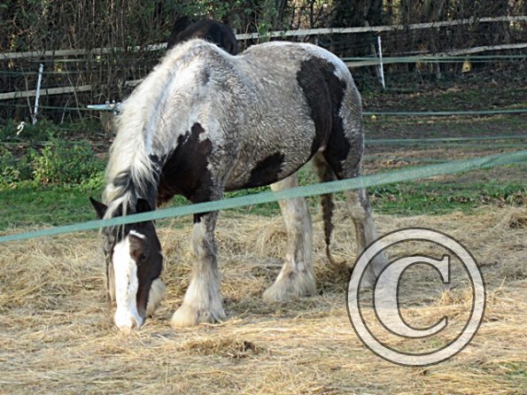 Lucy Locket Mud Monster (4)