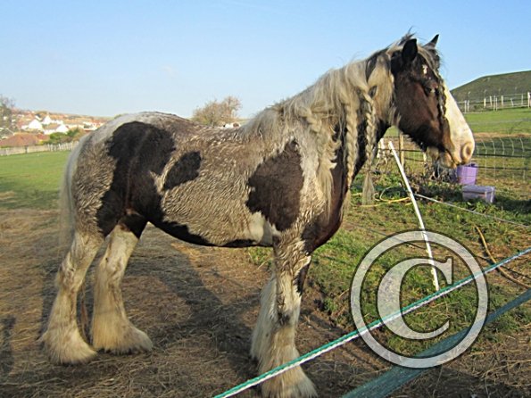 Lucy Locket Mud Monster (5)