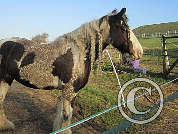 Lucy Locket Mud Monster (6)