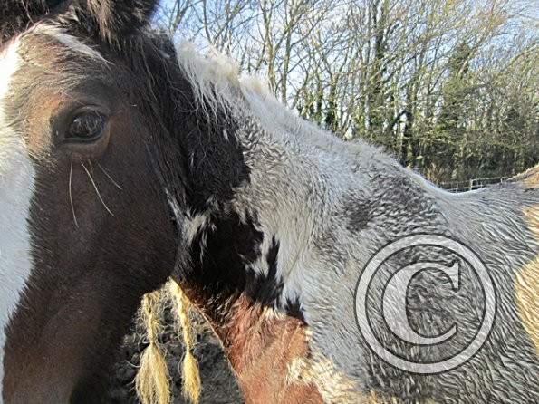 Lucy Locket Mud Monster