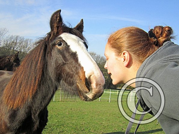 Teddy Super Playful (10)