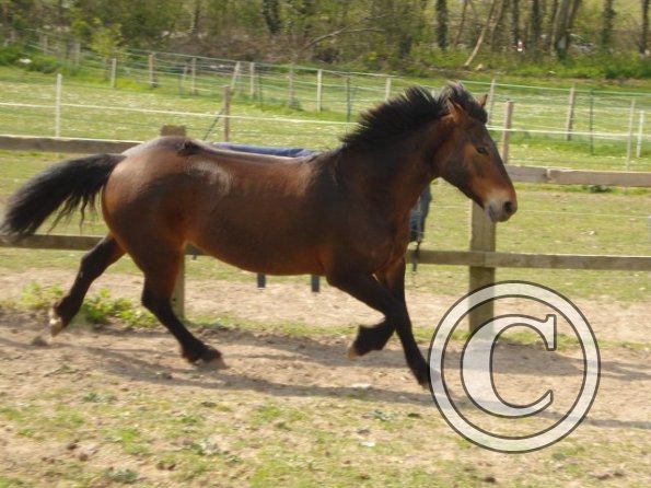 Playing in the field