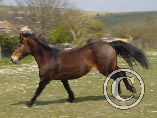 Playing in the field