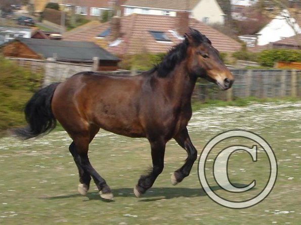 Playing in the field