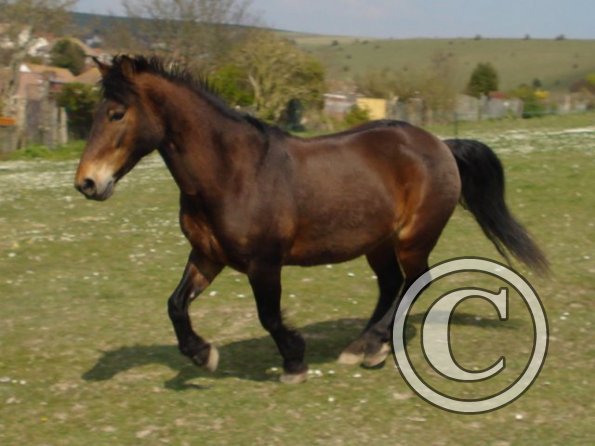 Playing in the field