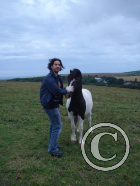 Im feeling a little horse