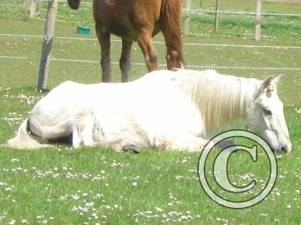 Last day :( :( :( :(