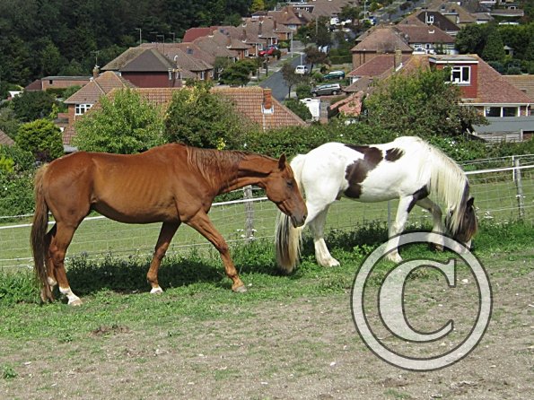 Mariner intro - Copy