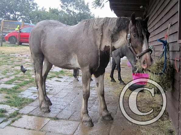 Mud Monster Lance (2)