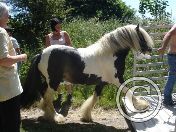 0 How loading should be done