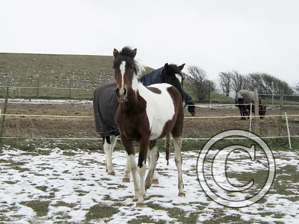 Ghost naked in the snow