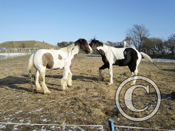 JD and Lance playing (3)