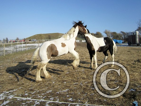 JD and Lance playing (4)