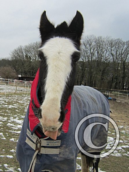 Jess sticks her tongue out