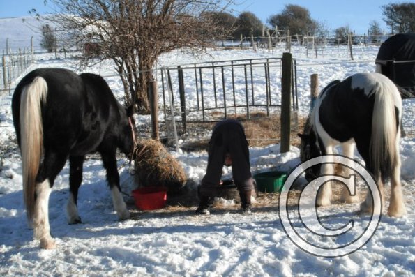 Cheyenne Willow and bum