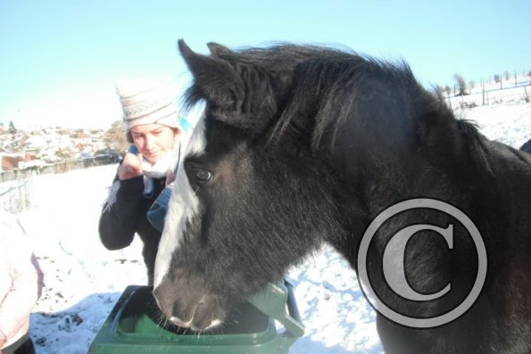 Putting Jess in the bin