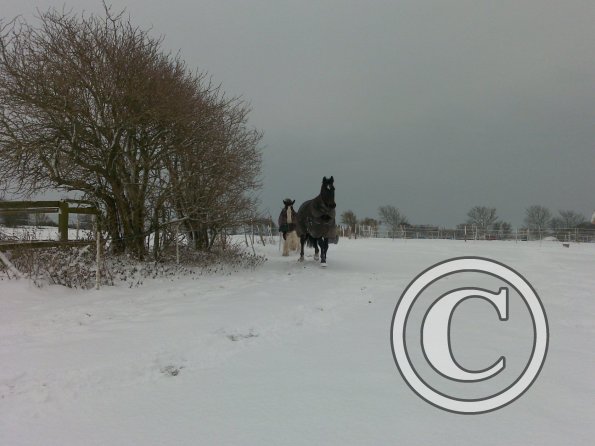 Gaby and Lucy faraway