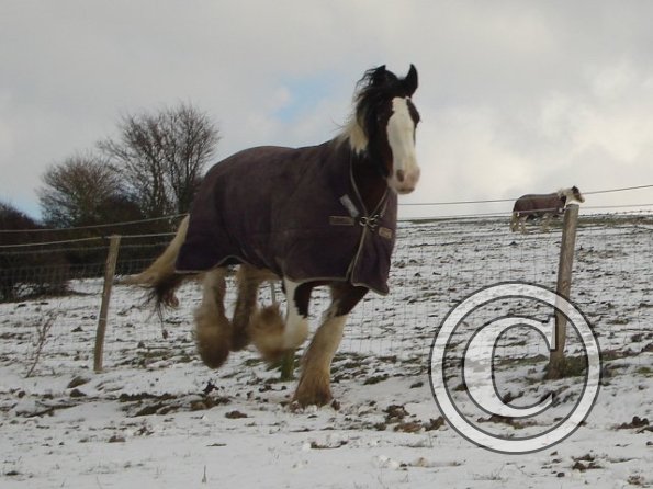Lucy canter3