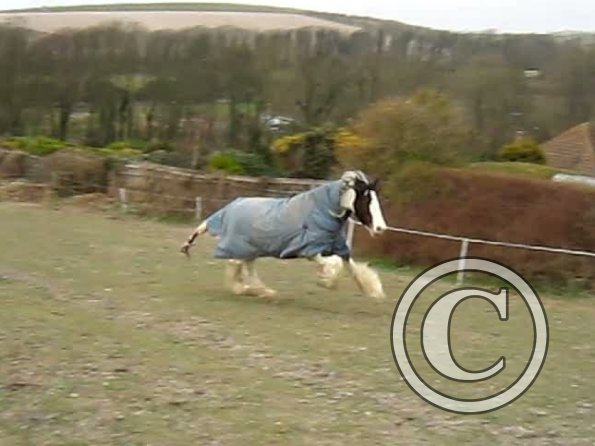 Lucy video stills (2)