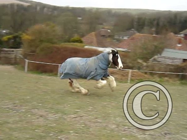 Lucy video stills (3)