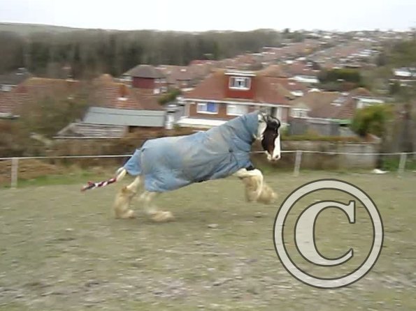 Lucy video stills (4)