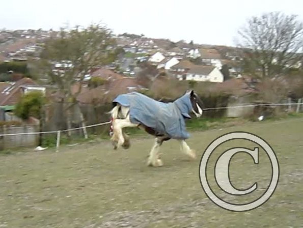 Lucy video stills (5)