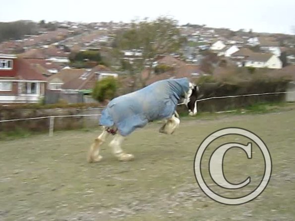 Lucy video stills (6)