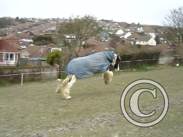 Lucy video stills (7)