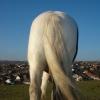 Bum and Blue sky