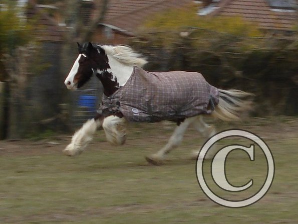 Lucy gallop 4