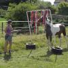 Agility with Sue (57)