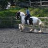 Working canter (4)