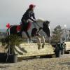 Brendon's Arena Eventing clinic