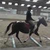 Mia polework clinic (12)