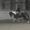 Mia polework clinic (5)