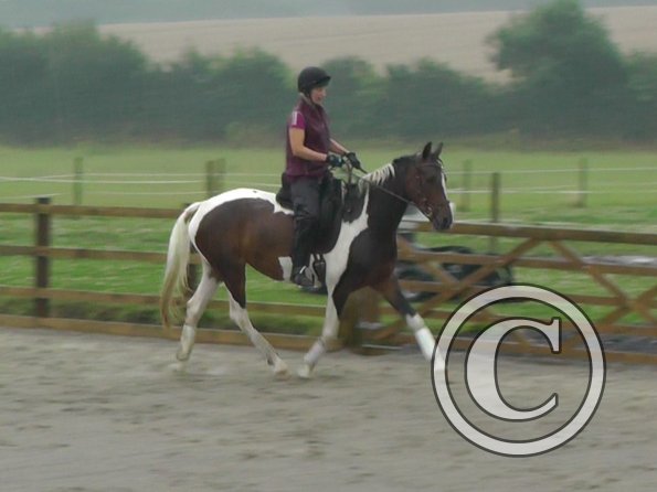 08-13-2015_091805(1)