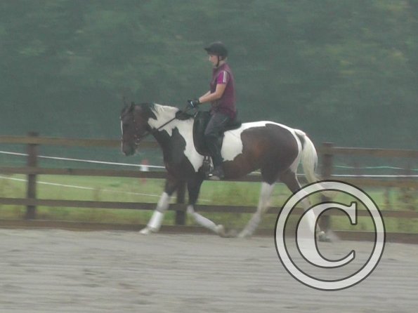 08-13-2015_091805(2)