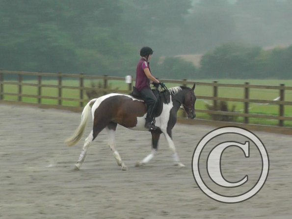 08-13-2015_091805(3)