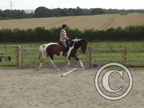 08-13-2015_142857(2)