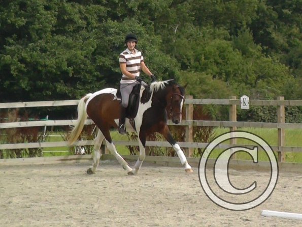 08-13-2015_142857(4)